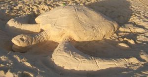 Den lebenden Vorbildern nachempfunden: eine Meeresschildkröte aus Sand.